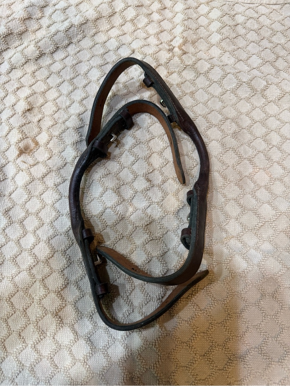 Bit Leather Straps in Dark Brown for GAG Bit - English bit straps